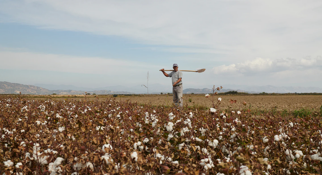 Organic Basics: The Story of Everyday Comfort, Consciously Made