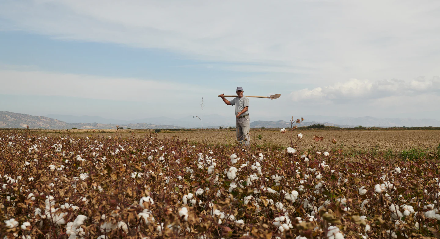 Organic Basics: The Story of Everyday Comfort, Consciously Made