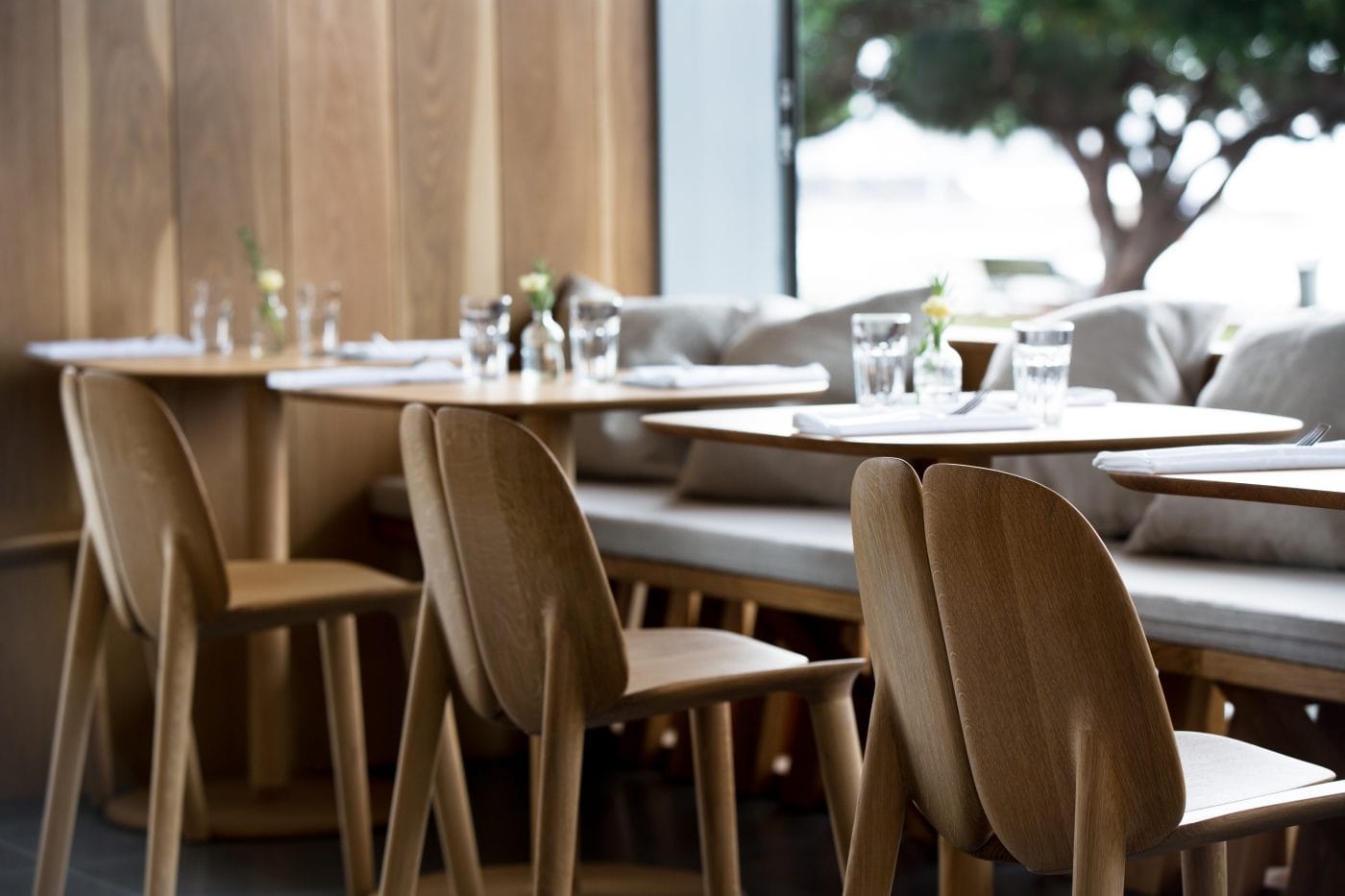 Mattiazzi MC3 OSSO Chair เก้าอี้ไม้ ash หรือ oak ดีไซน์ organic ออกแบบโดย Ronan & Erwan Bouroullec