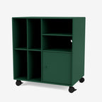 Montana TV Cabinet & Vinyl Storage