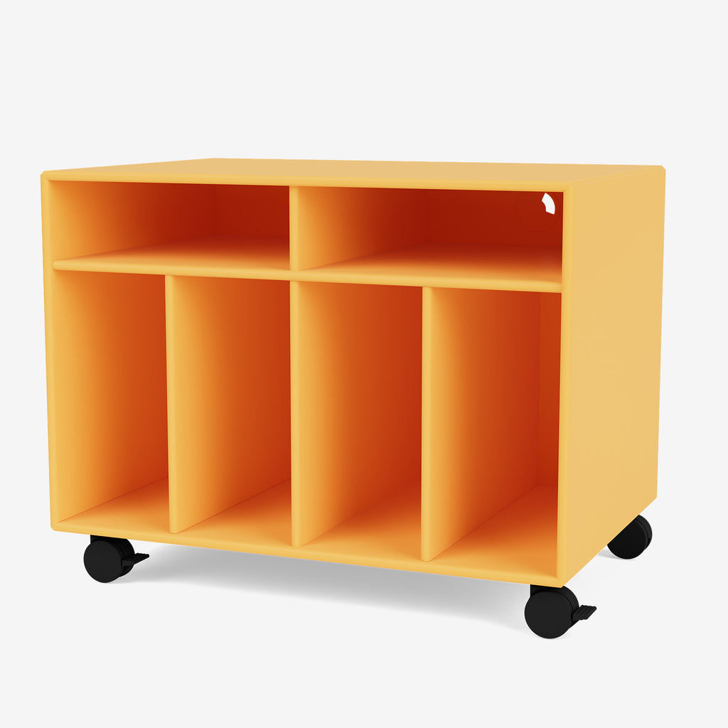 Montana TV Cabinet & Vinyl Storage
