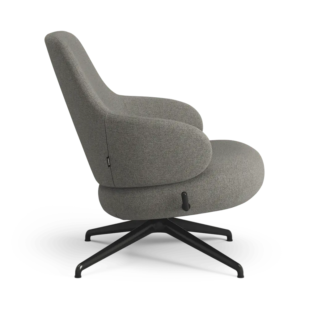 Pillo Easy Chair Low Back