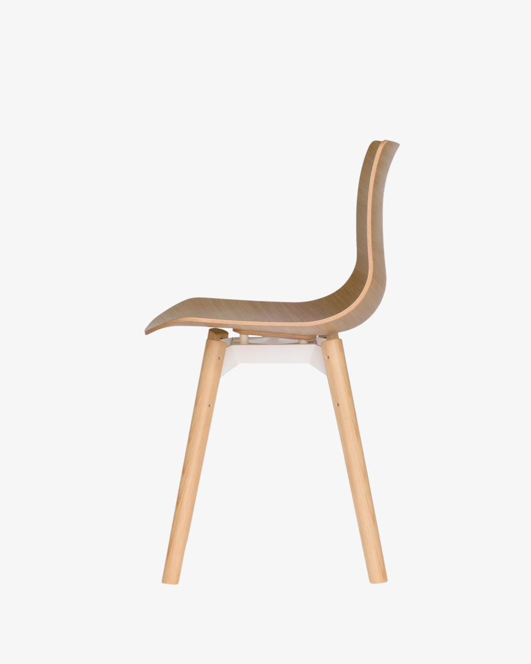 Case Furniture Loku Chair เก้าอี้ไม้อัดขึ้นรูปสามมิติ ดีไซน์โค้งลื่นแบบญี่ปุ่น มีให้เลือกไม้โอ๊คหรือวอลนัต บนโครงไม้ทรงเพรียว นั่งสบายและน้ำหนักเบา