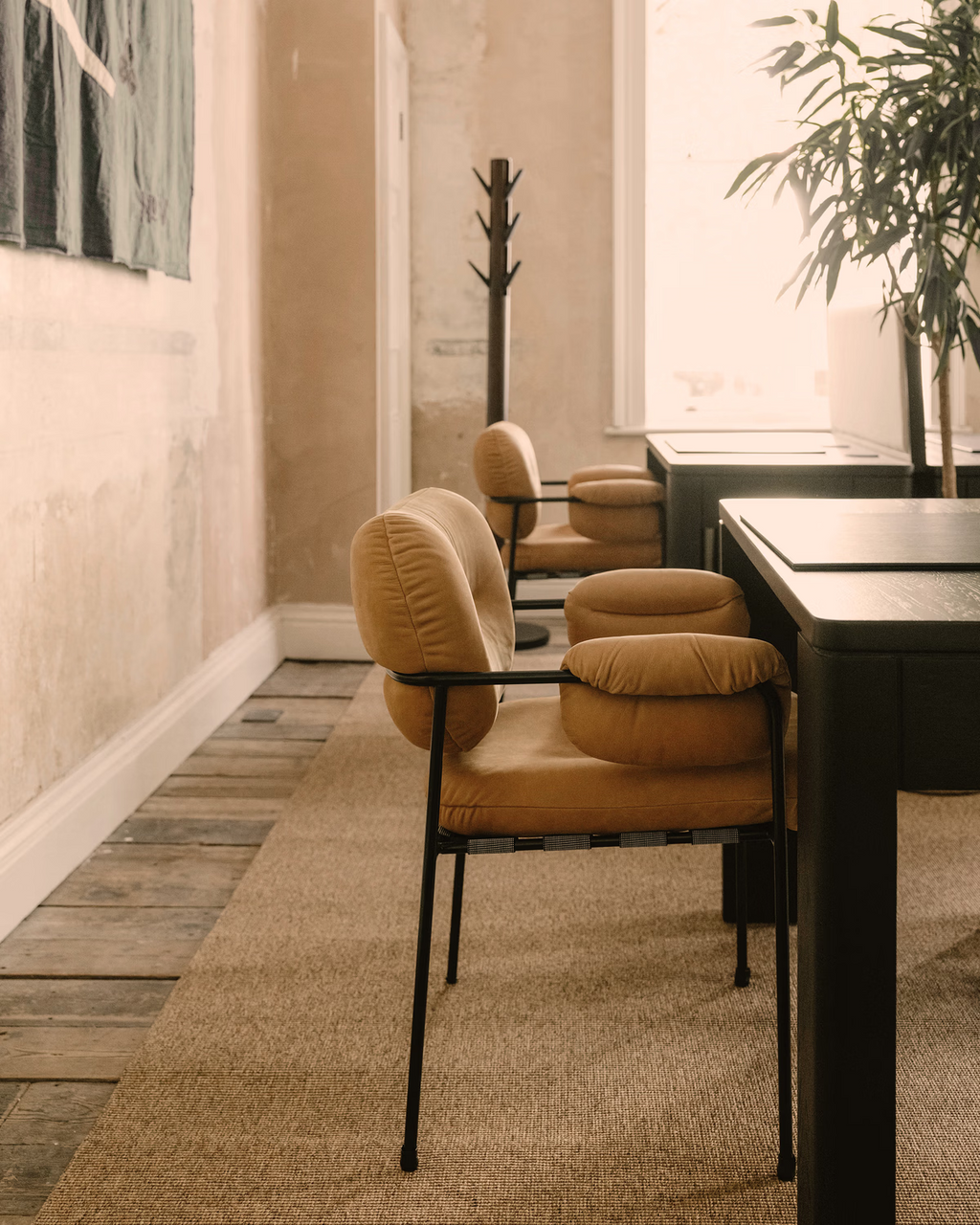 Bollo Dining Chair