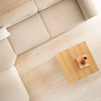 FDB Møbler D33 Coffee Table โต๊ะกลางไม้ oak มีทั้งขนาด 80x80 และ 60x120 ซม. ออกแบบโดย Jørgen Bækmark