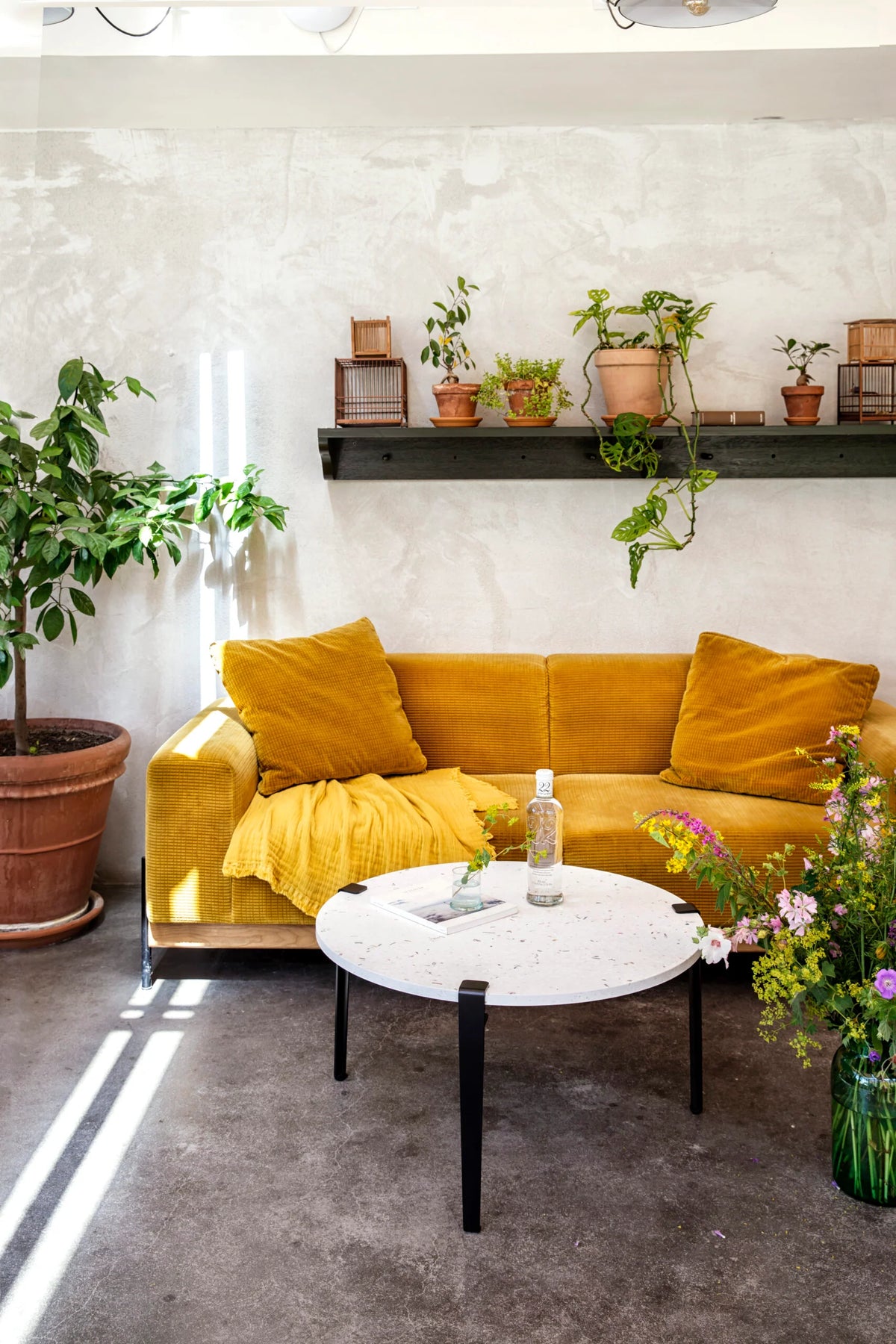 Venezia Coffee Table