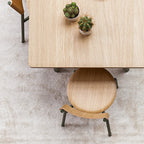 SSD Dining Chair