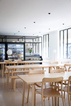 Mattiazzi MC2 BRANCA Chair เก้าอี้ไม้ ash ดีไซน์ organic ออกแบบโดย Sam Hecht & Kim Colin