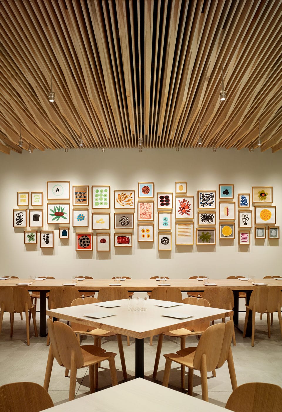 Mattiazzi MC3 OSSO Chair เก้าอี้ไม้ ash หรือ oak ดีไซน์ organic ออกแบบโดย Ronan & Erwan Bouroullec
