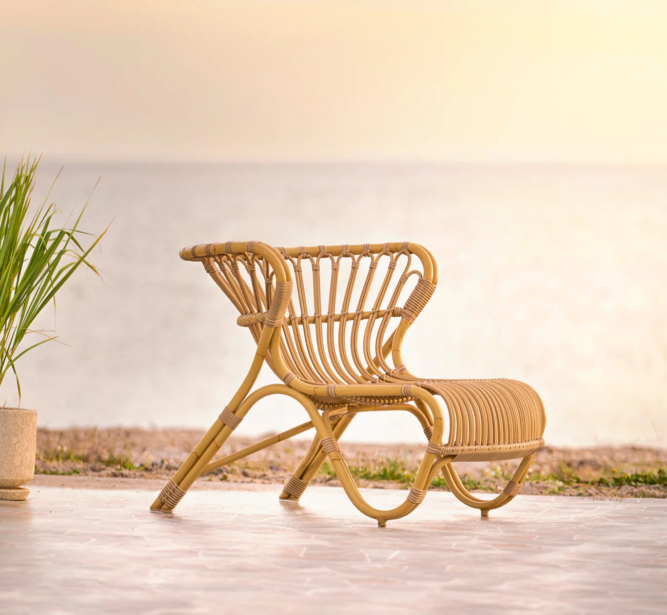 Fox Lounge Chair