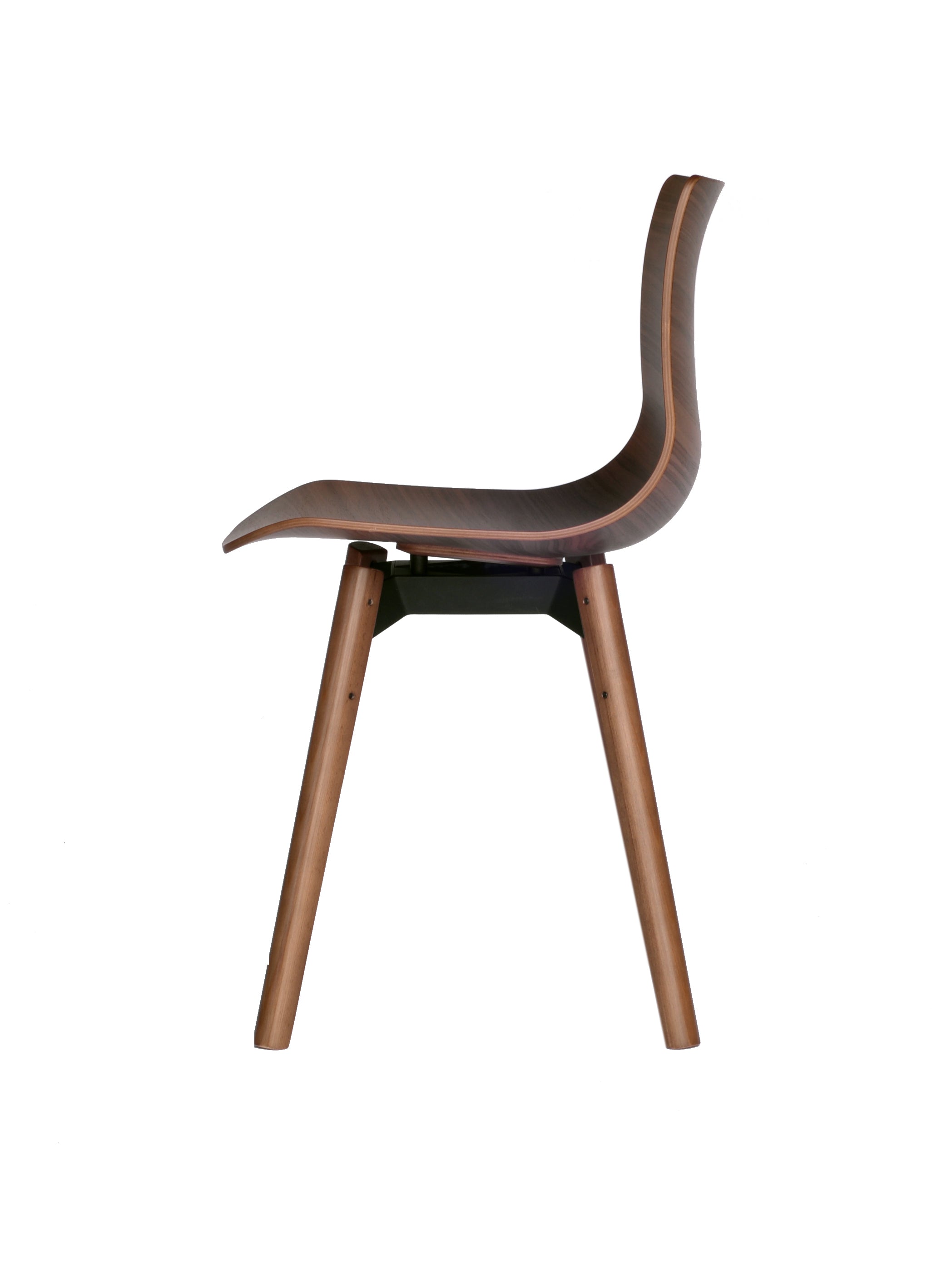 Case Furniture Loku Chair เก้าอี้ไม้อัดขึ้นรูปสามมิติ ดีไซน์โค้งลื่นแบบญี่ปุ่น มีให้เลือกไม้โอ๊คหรือวอลนัต บนโครงไม้ทรงเพรียว นั่งสบายและน้ำหนักเบา