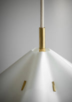 Sinuate Pendant