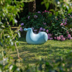 Dodo