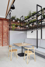 Mattiazzi MC5 SOLO Chair เก้าอี้ไม้ดีไซน์เรียบง่ายสำหรับ café และ dining spaces ออกแบบโดย Nitzan Cohen