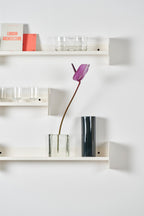 Pli Wall Shelf