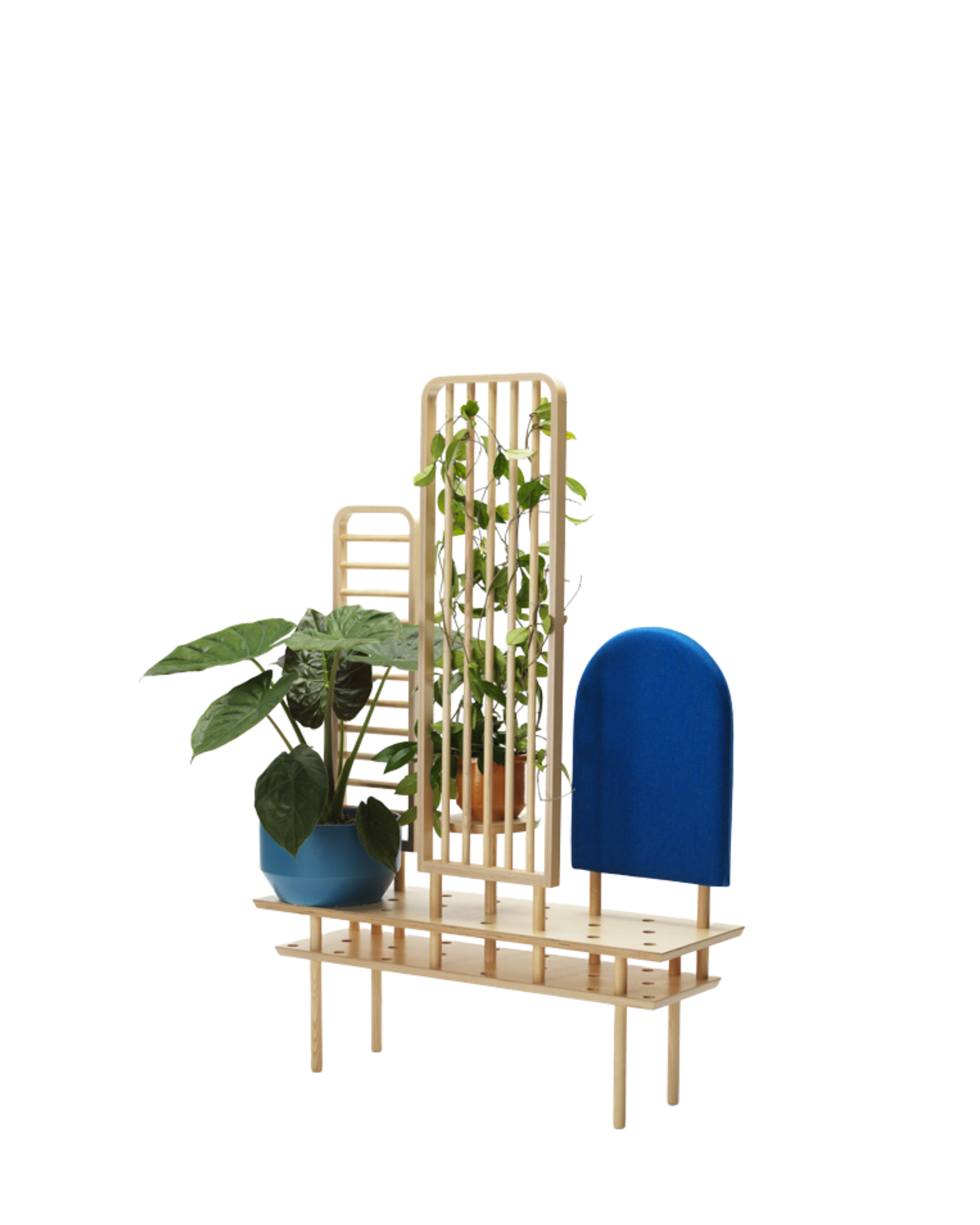 Zilio A&C Etta Screen โครงสร้าง ash และ plywood พร้อมชั้นวาง เสาตั้งสำหรับต้นไม้ และ upholstered backrest ออกแบบโดย Dossofiorito