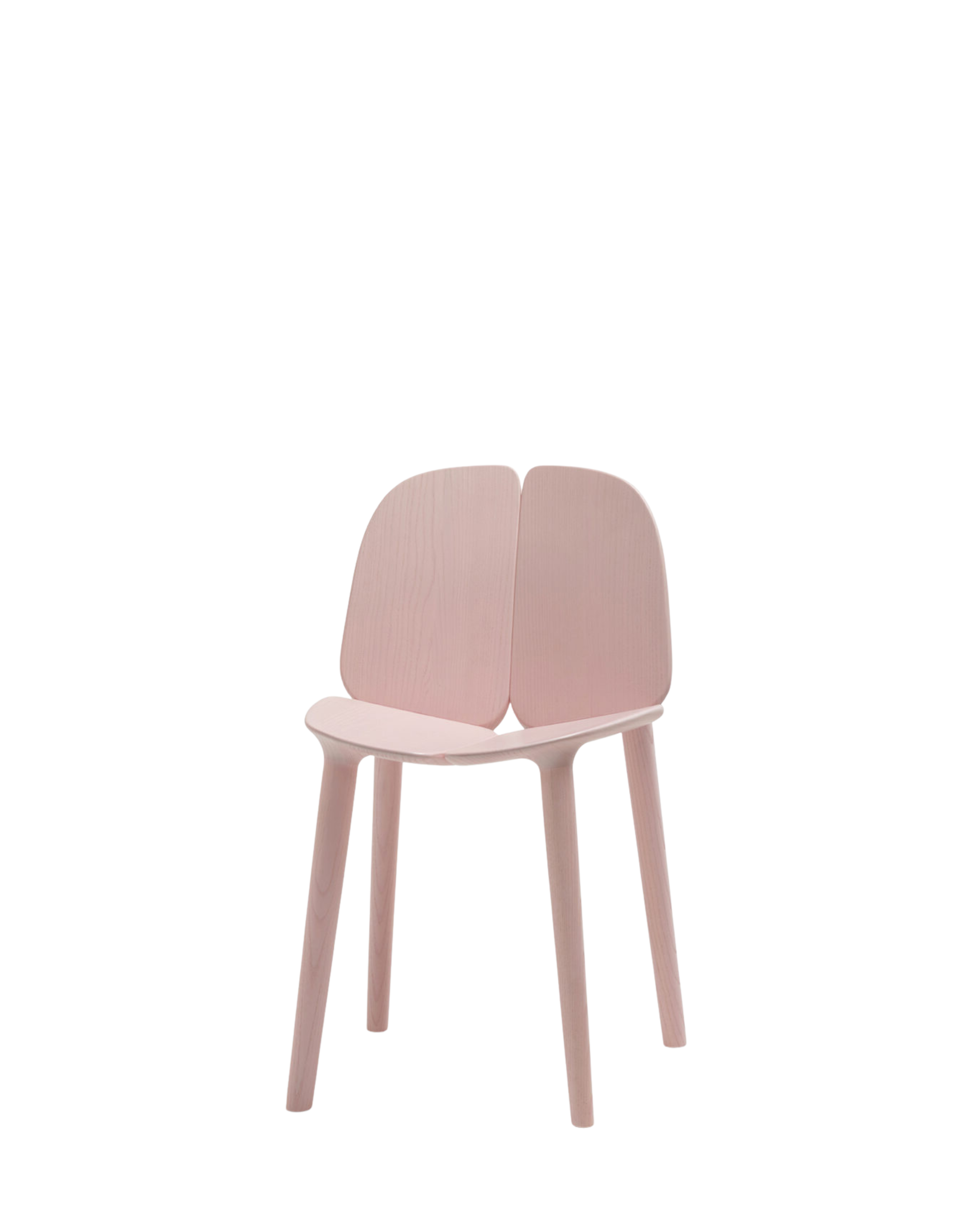 Mattiazzi MC3 OSSO Chair เก้าอี้ไม้ ash หรือ oak ดีไซน์ organic ออกแบบโดย Ronan & Erwan Bouroullec
