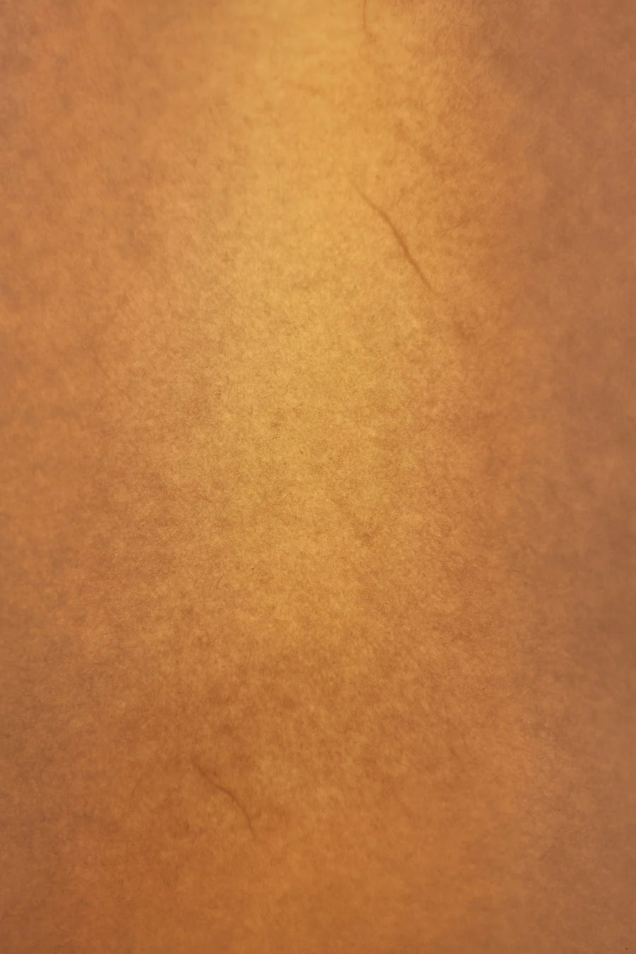 Sinuate Pendant