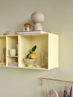 Montana Shelf / Cabinet System