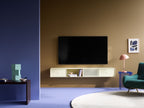 Montana TV Cabinet & Vinyl Storage